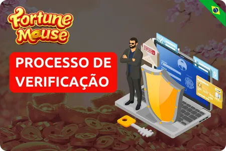 Processo de Verificação